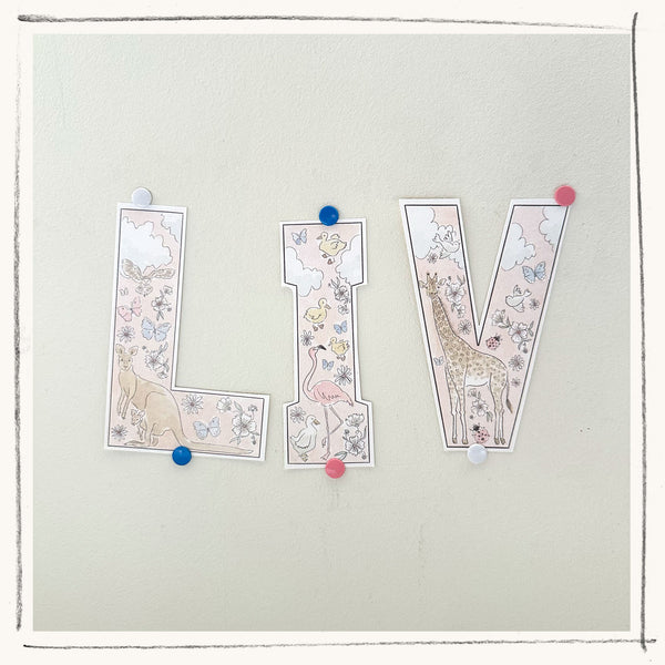 Push Pins - Multi