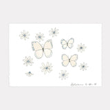Butterflies & Daisies