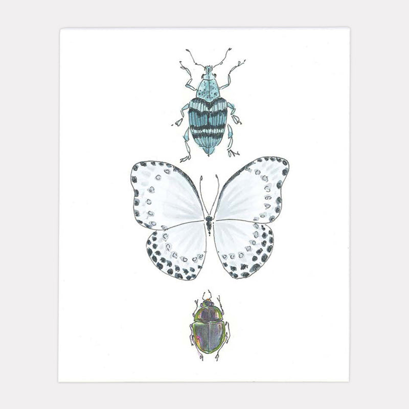 Butterfly & Beetles